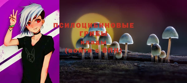 сатива Алексин