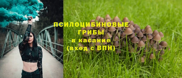 сатива Алексин
